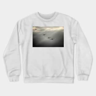 Spitfire Rays Crewneck Sweatshirt